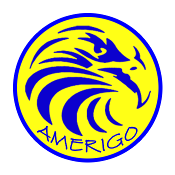 AMERIGO STRUCTURAL ENGINEERS PRIVATE LIMITED
